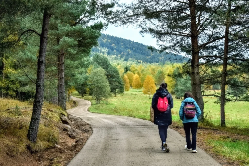 Two people walking on a forest path – regular exercise as part of lymphoedema management